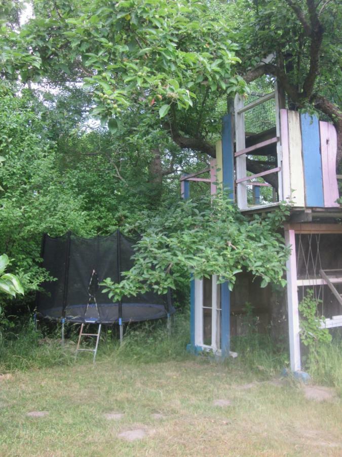 Ferienwohnung Pusteblume Steinhofel Εξωτερικό φωτογραφία